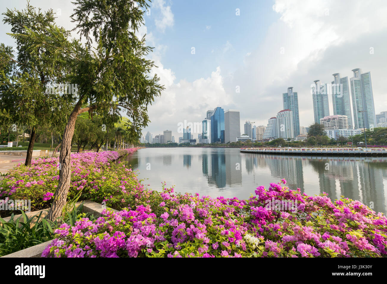 Blühende Beete an der Benjakiti (Benjakitti) Park und modernen Wolkenkratzern in Bangkok, Thailand. Stockfoto