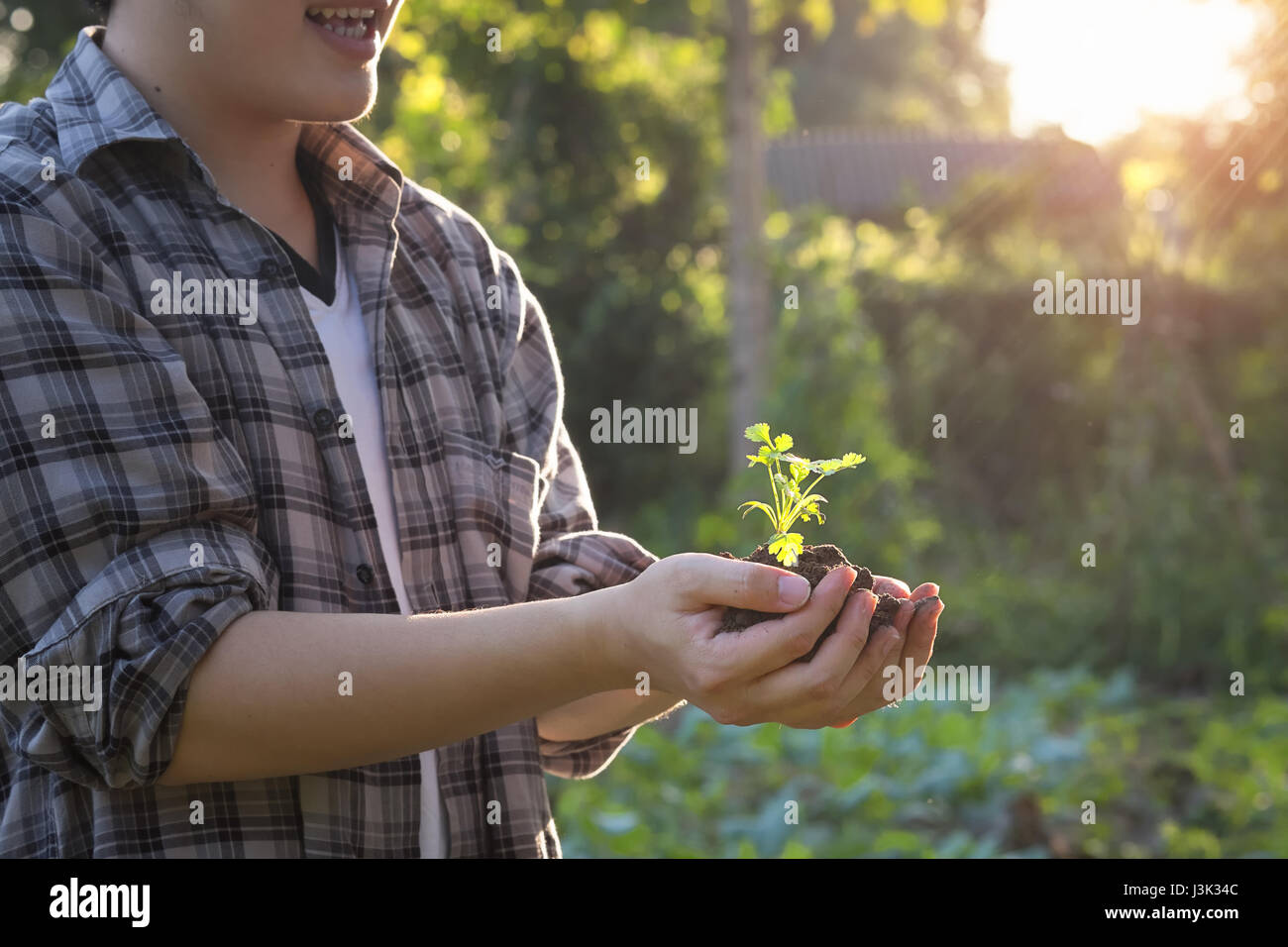 Boden kultiviert Schmutz, Erde, Boden, Landwirtschaft Land Hintergrund Praxistraining Babypflanze auf Hand, Bio-Gärtnerei, Landwirtschaft. Natur nah und selec Stockfoto