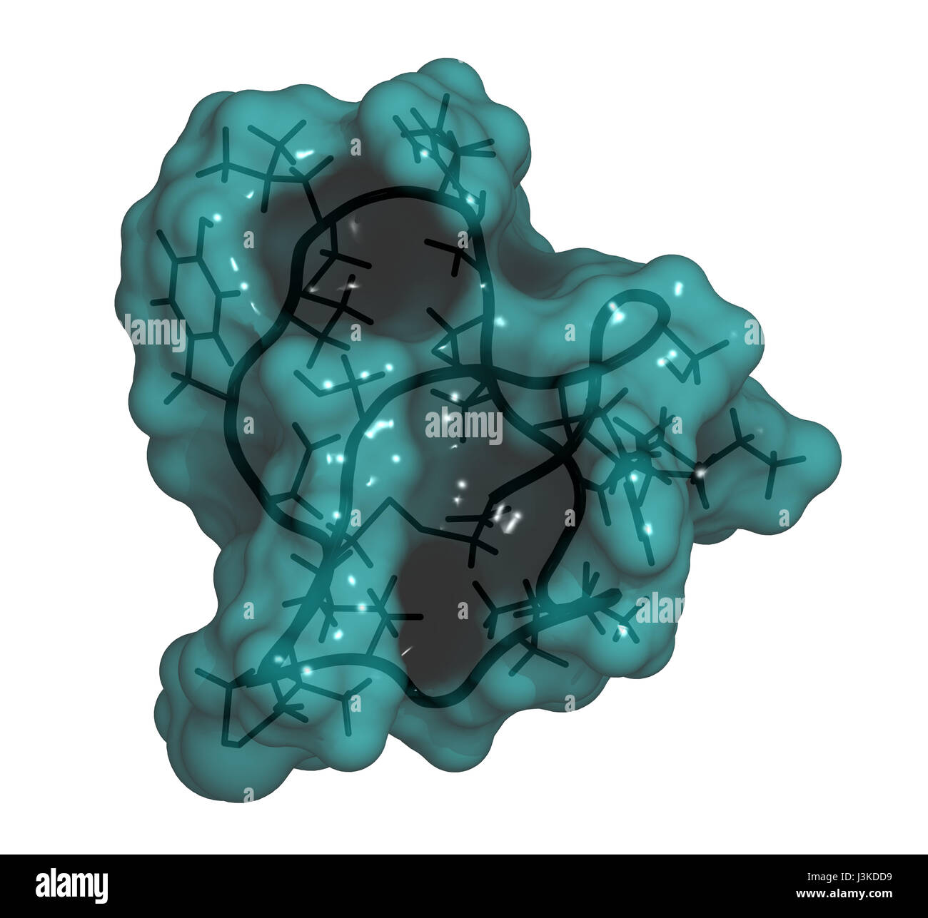 Ziconotid Schmerzen Wirkstoffmolekül. Synthetische Form von Omega vor aus Kegelschnecke. Cartoon & Drahtgitter Modell + semi-transparente Oberfläche. Stockfoto