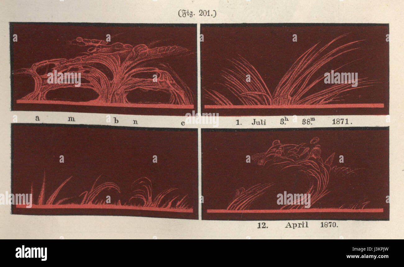 Dieser Titel bezieht sich auf eine Figur oder Illustration aus einer Publikation oder einem Archiv, die wahrscheinlich auf ein wissenschaftliches oder historisches Dokument mit der Bezeichnung GesNat335 bezogen ist. Stockfoto