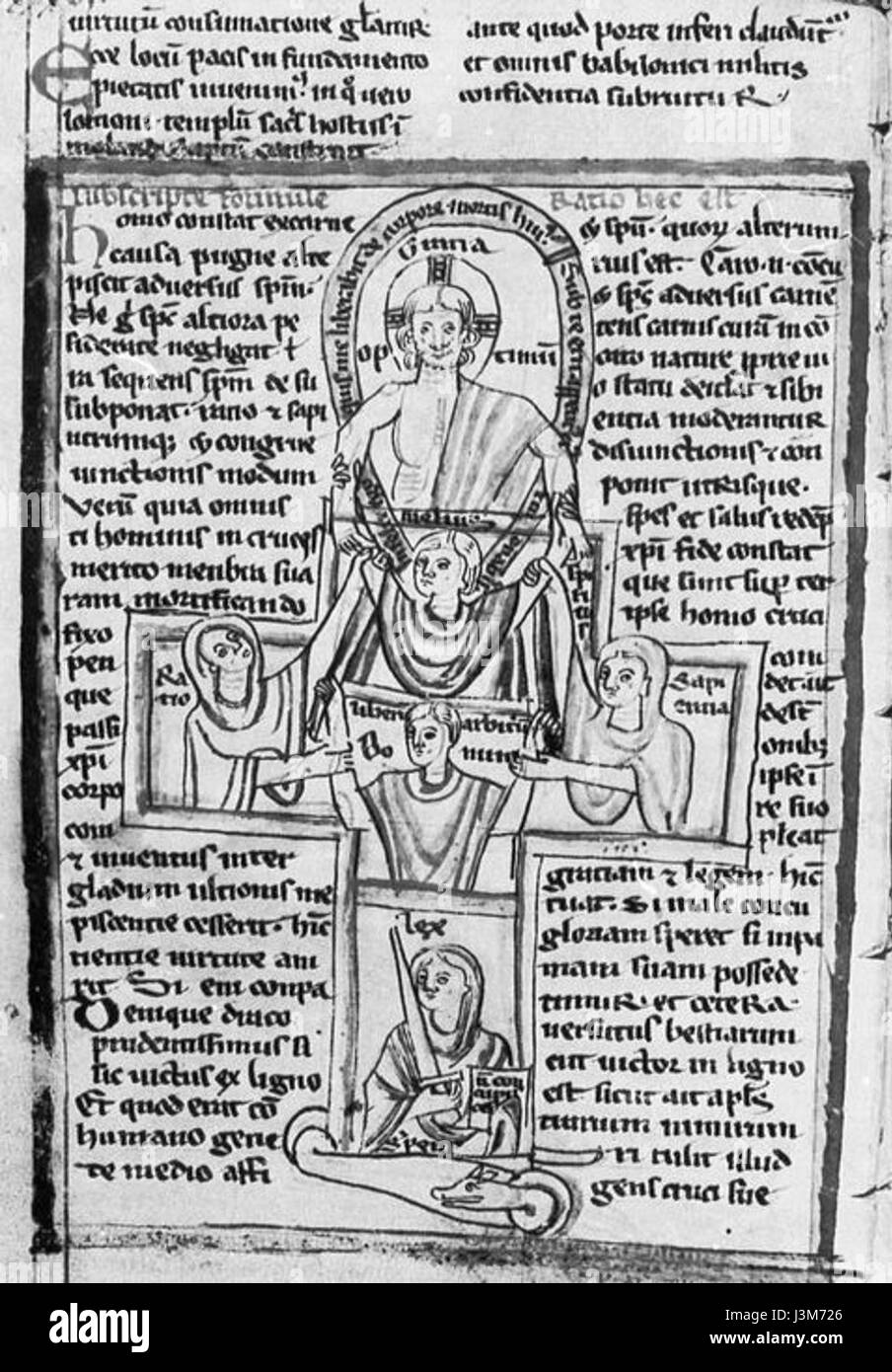 Dieser Titel bezieht sich wahrscheinlich auf eine Studie oder einen artikel über Homo-Arten, die in Darmstadt gefunden wurden. Die Nummer 815 kann sich auf ein bestimmtes Exemplar oder eine archäologische Stätte beziehen, das mit der frühen Menschheitsgeschichte in Zusammenhang steht. Stockfoto