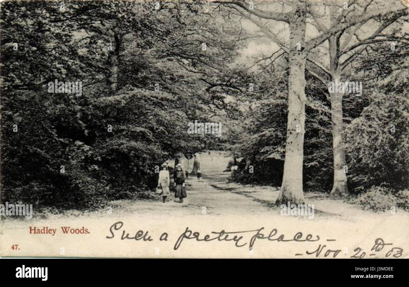 Hadley Woods in Barnet, North London, ist ein historisches Waldgebiet, das für seine reiche Artenvielfalt und natürliche Schönheit bekannt ist. 1908 wurde es zu einem beliebten Ort für Freizeit- und Outdoor-Aktivitäten und trug zur Umwelt- und Erholungsgeschichte der Region bei. Stockfoto