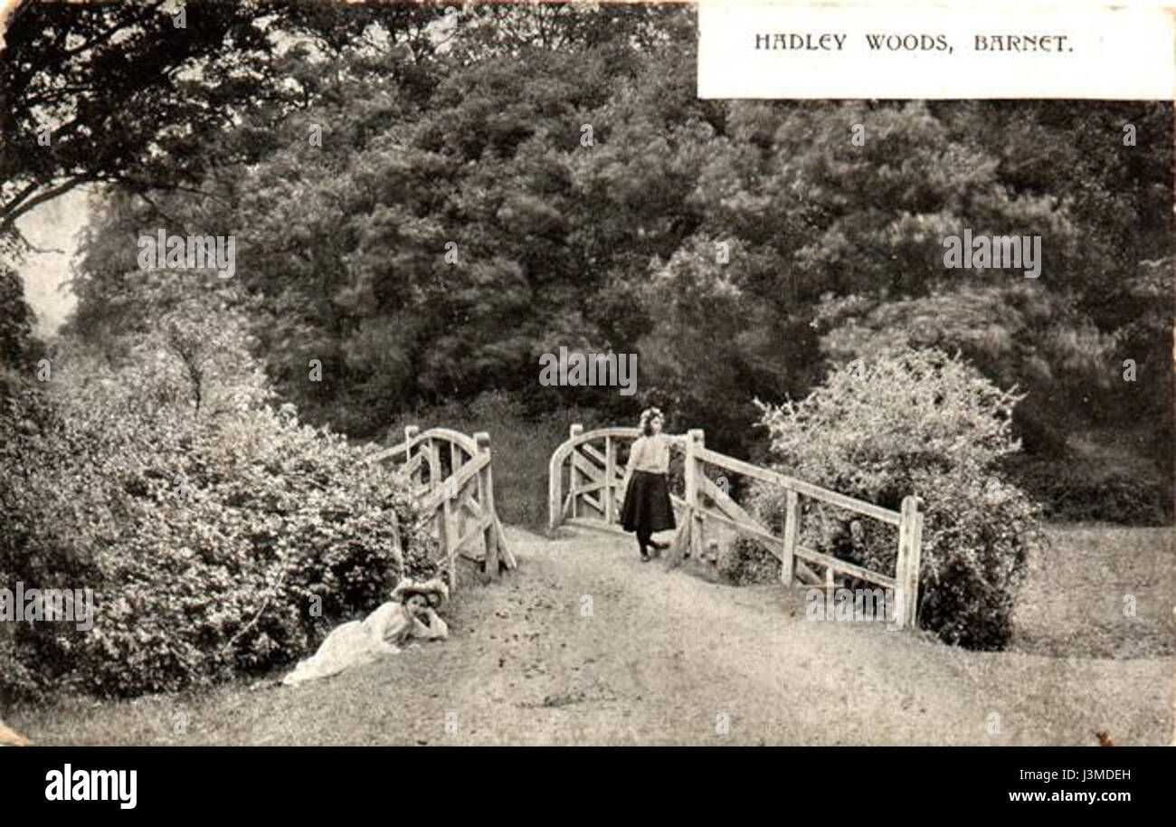 Hadley Woods ist ein Naturschutzgebiet in Barnet, North London. Die Wälder sind bekannt für ihre landschaftliche Schönheit und Tierwelt und bieten Besuchern einen friedlichen und natürlichen Rückzugsort in der urbanen Umgebung von Barnet. Stockfoto