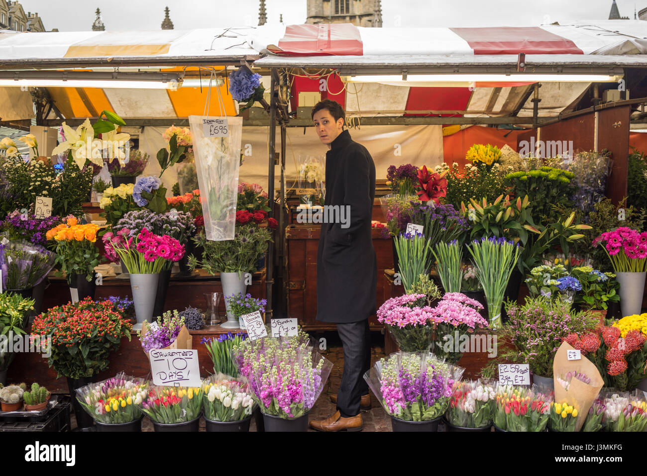 Blumen-Verkäufen auf dem Markt in der Universität Cambridge in England Stockfoto