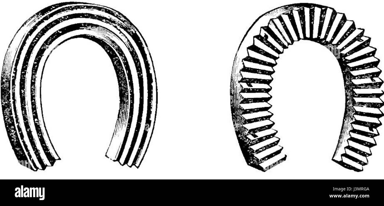 Das Anbringen und Warten von Pferdeschuhen, um einen ordnungsgemäßen Hufschutz und eine korrekte Ausrichtung zu gewährleisten. Beim Pferdeschießen müssen Hufe geschnitten, geeignete Schuhe ausgewählt und an den Hufen befestigt werden, um Verletzungen und Verschleiß zu vermeiden. Die Praxis ist für Pferde, die beim Reiten, Rennen oder bei der Arbeit eingesetzt werden, von grundlegender Bedeutung. Je nach Aktivität und Umgebung des Pferdes werden verschiedene Arten von Schuhen verwendet. Stockfoto Das Anbringen und Warten von Pferdeschuhen, um einen ordnungsgemäßen Hufschutz und eine korrekte Ausrichtung zu gewährleisten. Beim Pferdeschießen müssen Hufe geschnitten, geeignete Schuhe ausgewählt und an den Hufen befestigt werden, um Verletzungen und Verschleiß zu vermeiden. Die Praxis ist für Pferde, die beim Reiten, Rennen oder bei der Arbeit eingesetzt werden, von grundlegender Bedeutung. Je nach Aktivität und Umgebung des Pferdes werden verschiedene Arten von Schuhen verwendet. Stockfoto