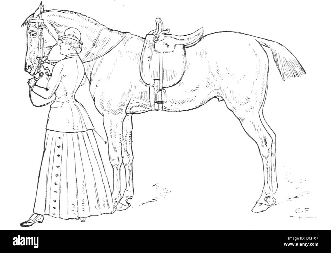 Horsemanship für Frauen 048 Stockfoto