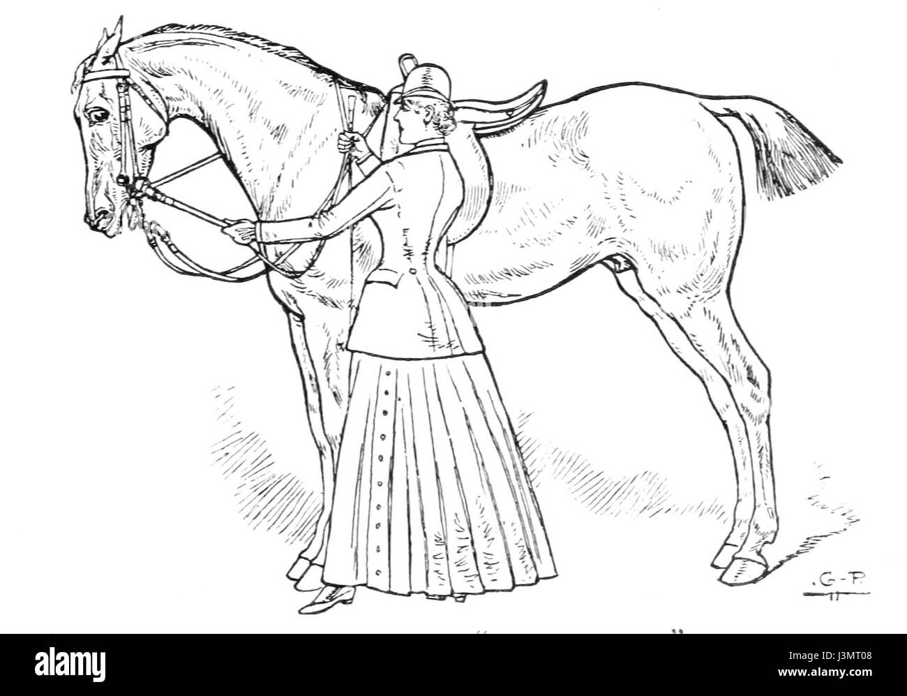 Horsemanship für Frauen 049 Stockfoto