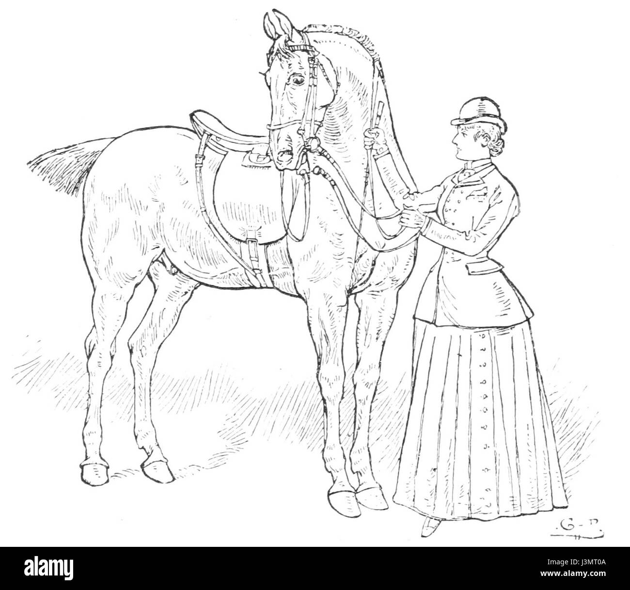 Dies bezieht sich auf einen Leitfaden oder eine Anleitung zur Reitkunst, der speziell auf Frauen ausgerichtet ist und sich möglicherweise auf Reittechniken, Pflege und Interaktion mit Pferden in einem geschlechtsbezogenen Kontext konzentriert. Stockfoto