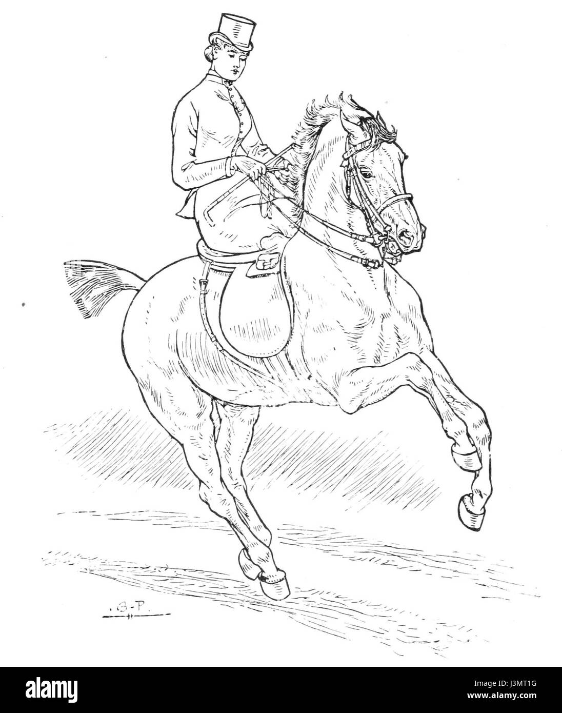 Horsemanship für Frauen 096 Stockfoto