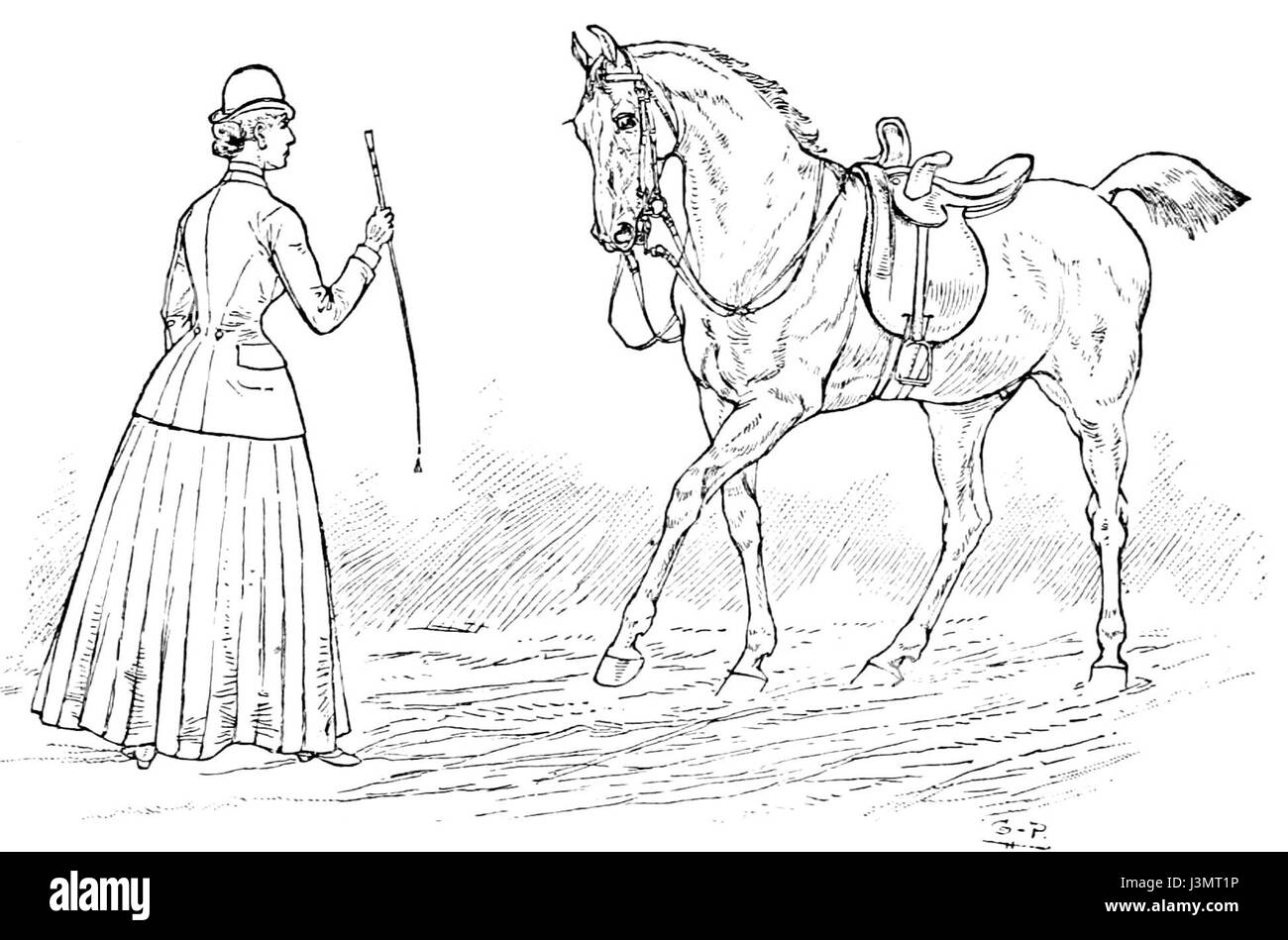 Horsemanship für Frauen 021 Stockfoto