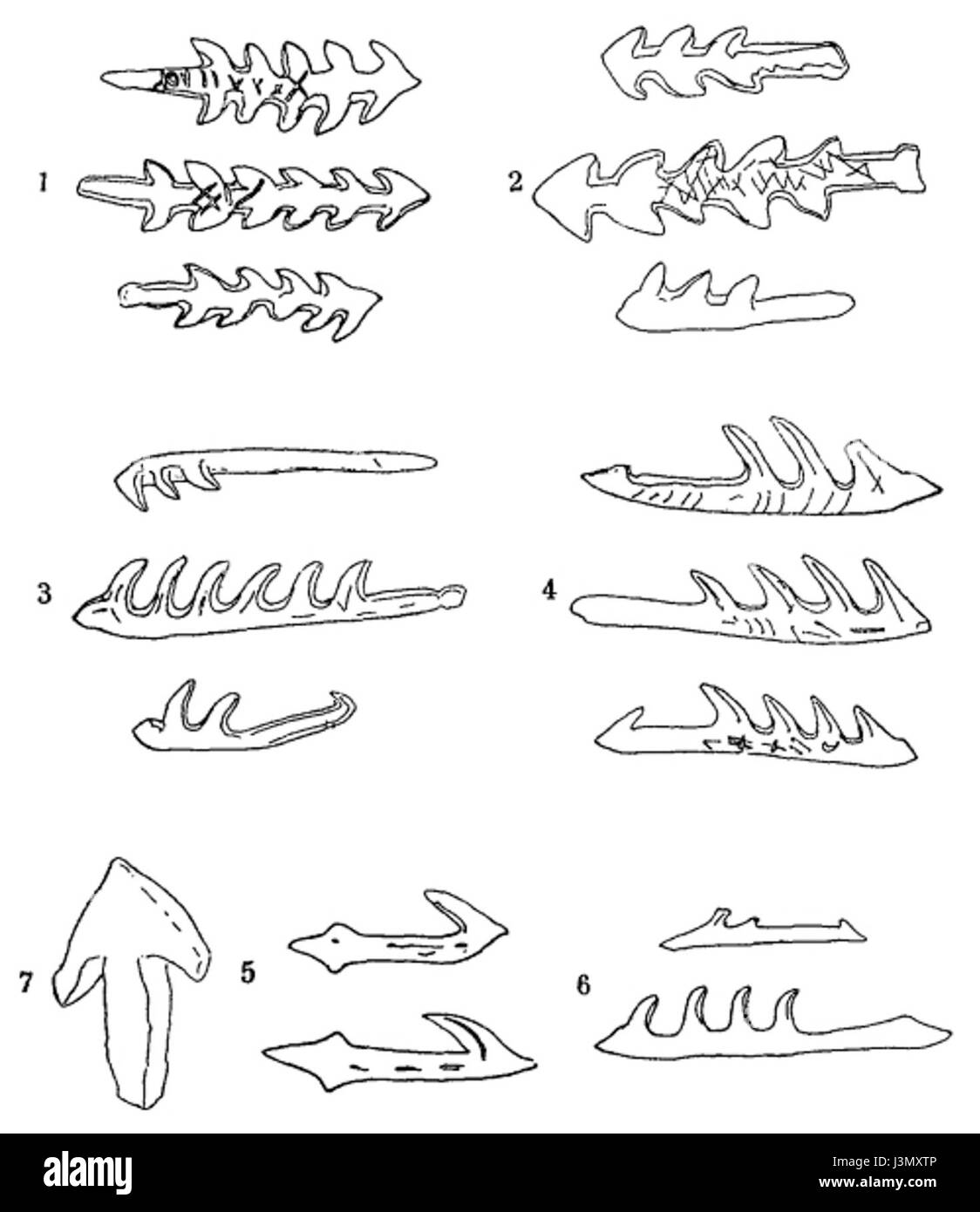 Die Glozel Reinach 10 ist eine Anspielung auf eine archäologische Stätte in Frankreich, die für ihre umstrittenen Funde im Zusammenhang mit prähistorischen Artefakten und deren Interpretation im Kontext der frühen Menschheitsgeschichte bekannt ist. Stockfoto