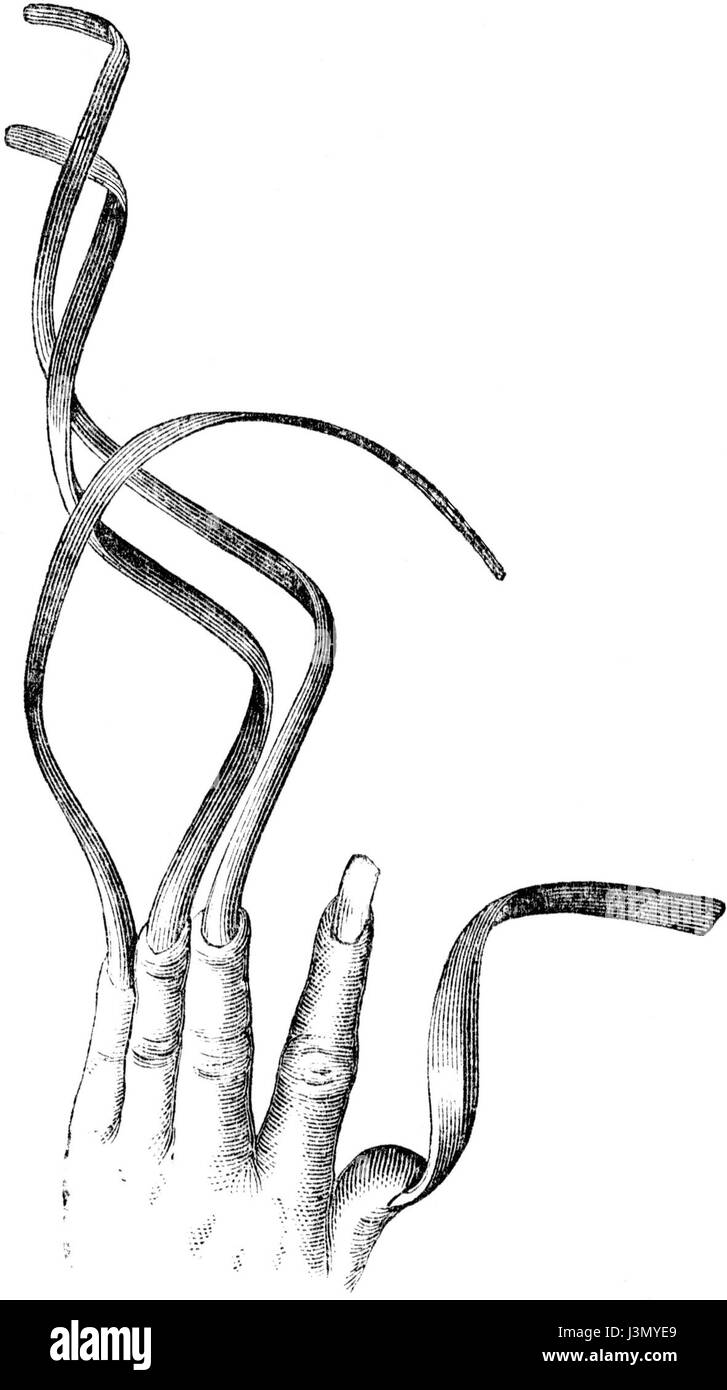 Die „Hand des chinesischen Asketen“ ist ein symbolisches Bild, das wahrscheinlich die Meditationspraktiken und den spirituellen Fokus chinesischer Asketiker repräsentiert und Disziplin, Einsamkeit und Hingabe zu einem höheren Zweck in den philosophischen Traditionen des Ostens betont. Stockfoto