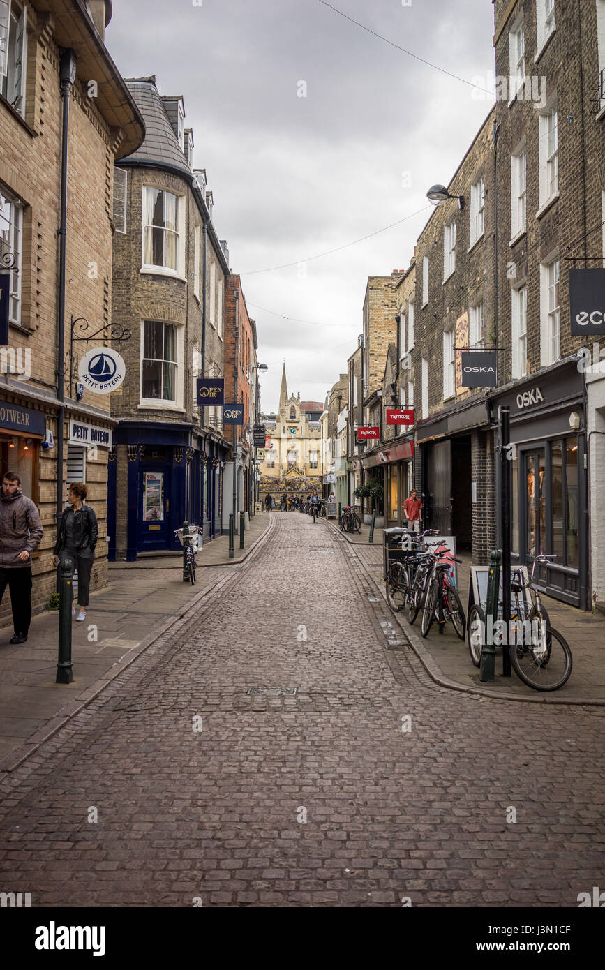 Der Universität Cambridge in England Stockfoto