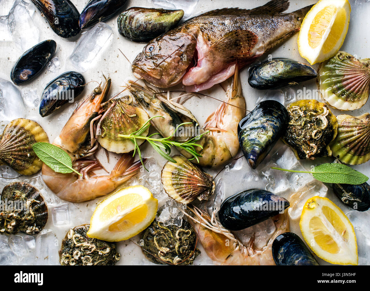 Frische Meeresfrüchte mit Kräutern und Zitronensaft auf Eis. Garnelen, Fisch, Muscheln, Jakobsmuscheln über Stahl Metalltablett Stockfoto