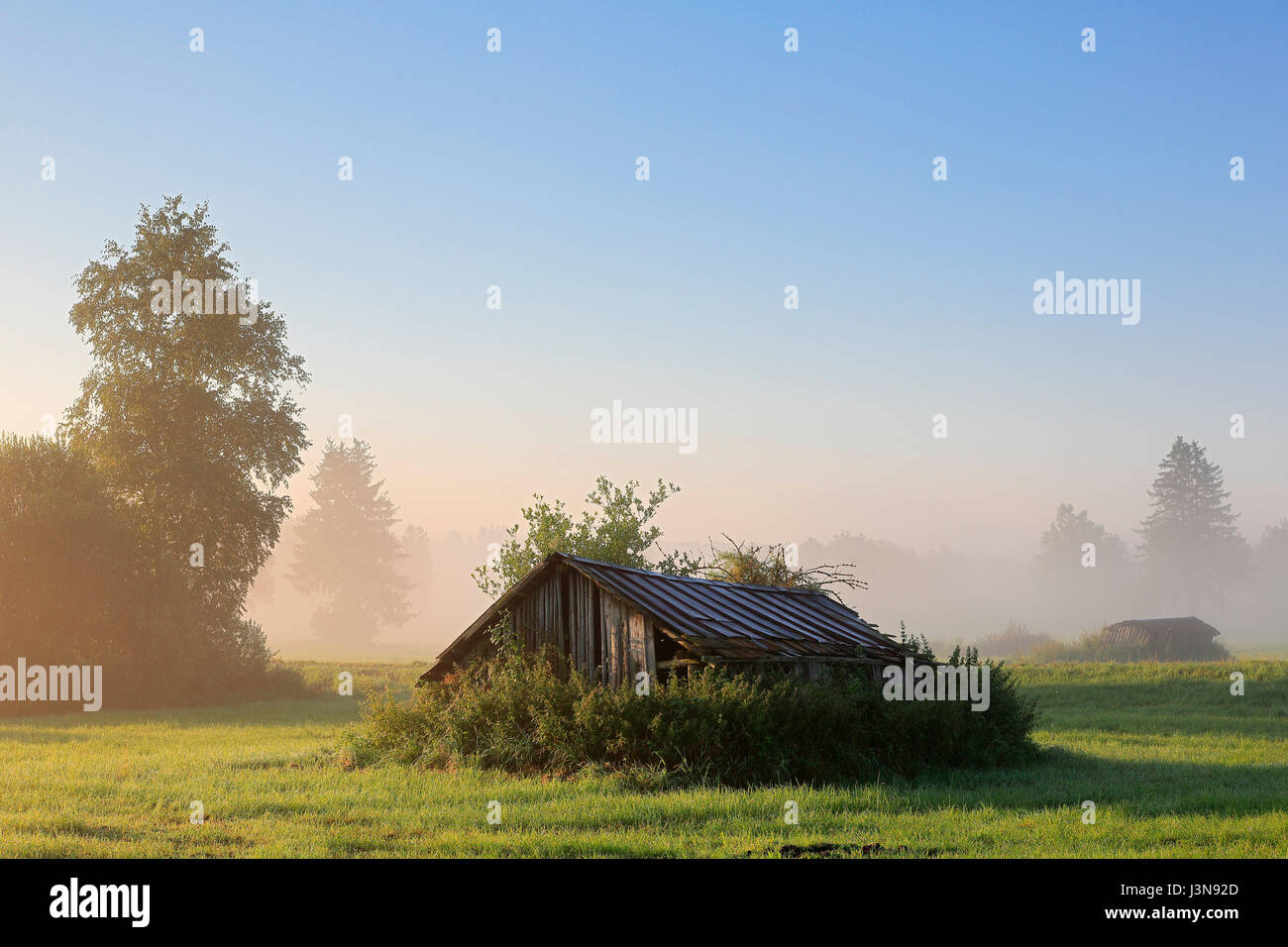 Holzhuette, Pfrunger-Burgweiler Ried, Baden-Württemberg, Deutschland, Europa Stockfoto