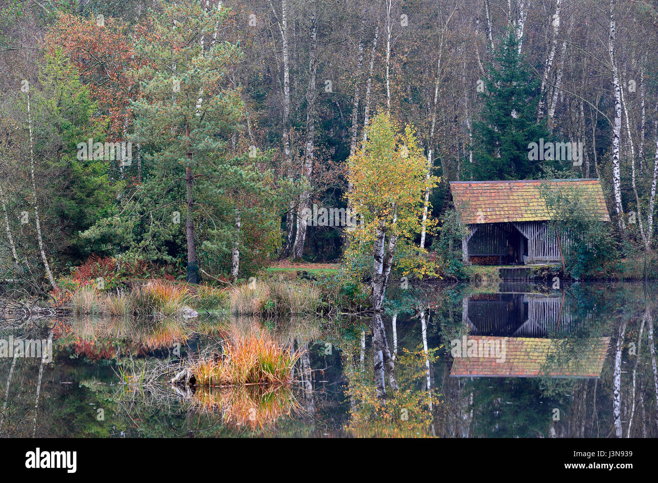 Holzhuette, Pfrunger-Burgweiler Ried, Baden-Württemberg, Deutschland Stockfoto