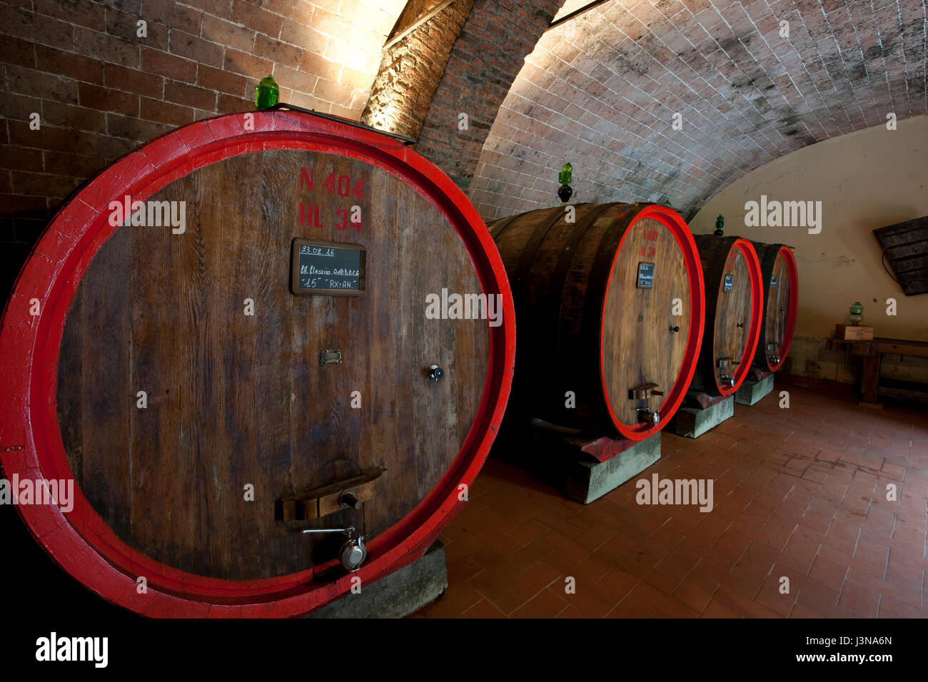 Fässer von Chianti rot Wein, Castello d'Albola, Radda in Chianti, Toskana, Italien, Europa Stockfoto