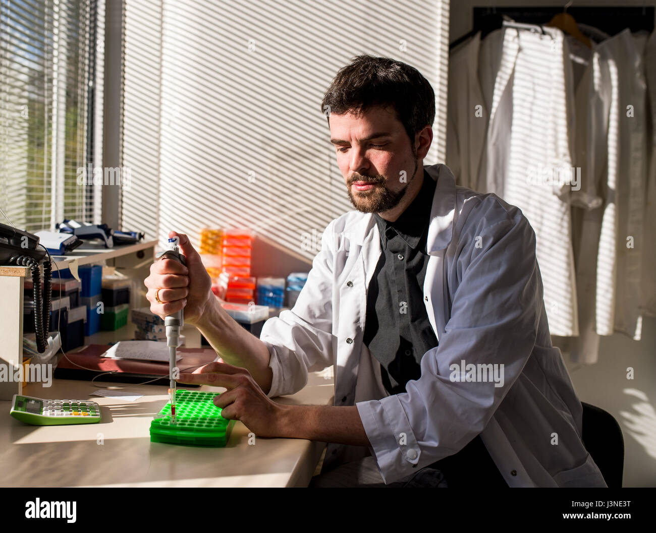 München, Deutschland. 3. Mai 2017. Biologe Rene Taenzler analysiert DNA in einem Labor in der Bayerischen Sammlung für Zoologie in München, 3. Mai 2017. DNA-Barcoding bezieht sich auf eine Methode, die einen spezifischen genetischen Marker in der DNA eines Tieres verwendet, um die Arten zu identifizieren, zu denen es gehört. Ein kleines Unternehmen ist nun diesen Service für jedermann zur Verfügung. Foto: Alexander Heinl/Dpa/Alamy Live News Stockfoto