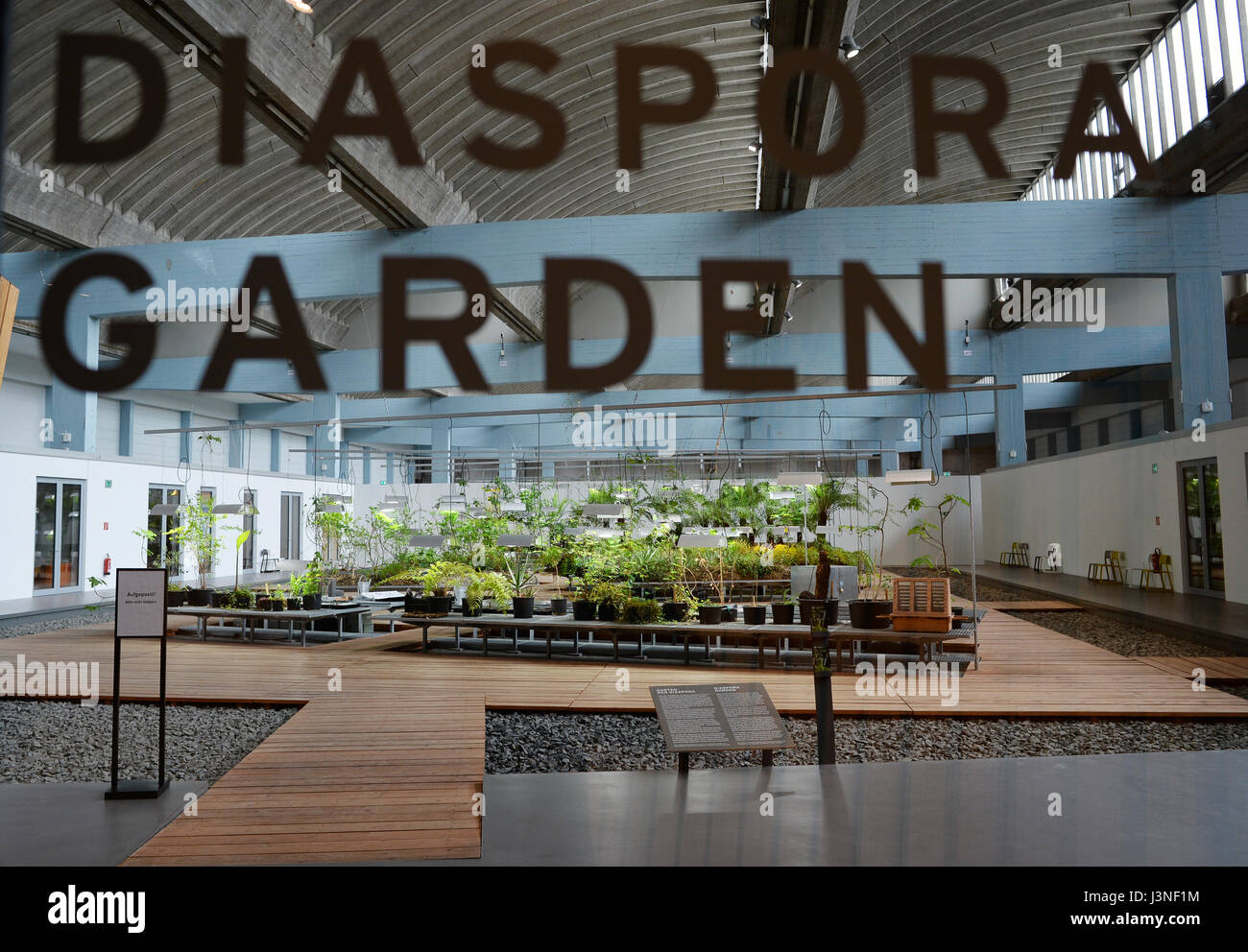 Berlin, Deutschland. 3. Mai 2017. Die Diaspora-Garten in der W. Michael Blumenthal Akademie des jüdischen Museums in Berlin, Deutschland, 3. Mai 2017. Es dient als ein Raum für Austausch, Reflexion und lernen. Foto: Jens Kalaene/Dpa-Zentralbild/ZB/Dpa/Alamy Live News Stockfoto