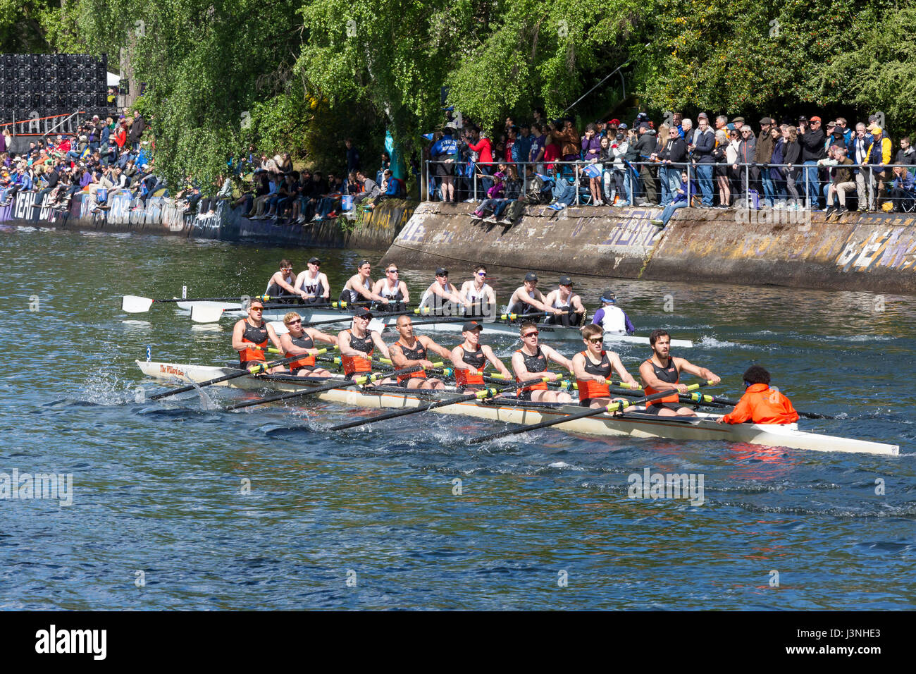 Windermere cup crew racing Fotos und Bildmaterial in hoher Auflösung Alamy