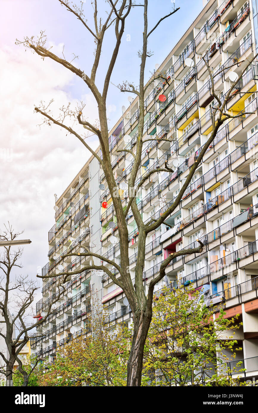 sozialer Wohnungsbau, Wolkenkratzer mit toter Baum, Berlin Stockfoto