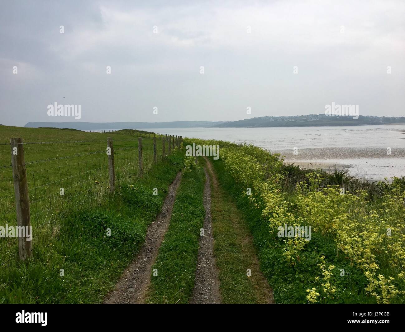 Padstow Klippenweg Stockfoto