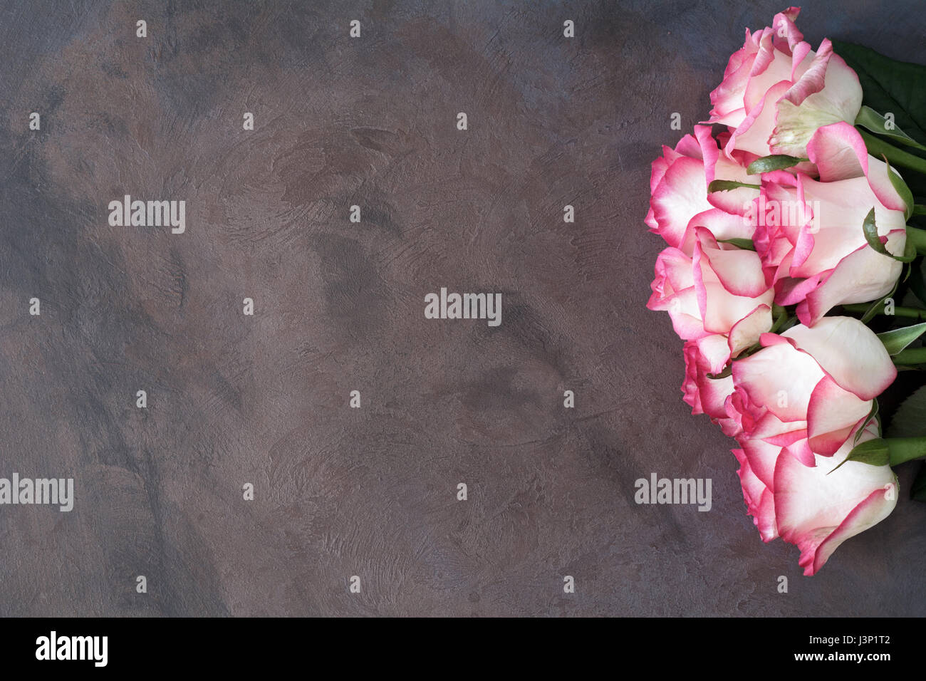 Rosa Rosen auf Vintage rostig-Hintergrund mit textfreiraum für Text. Ansicht von oben, Raum zu kopieren. Konzept der Muttertag, Frauentag, Valentinstag-Karte Stockfoto