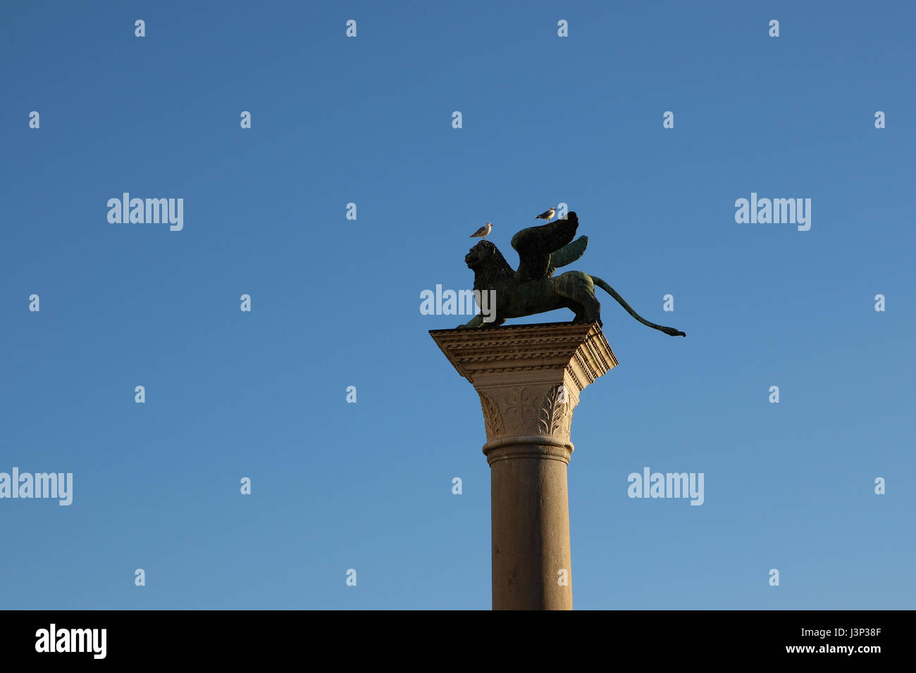 Berühmten geflügelten Löwenstatue in Piazza San Marco, Venedig, Italien Stockfoto
