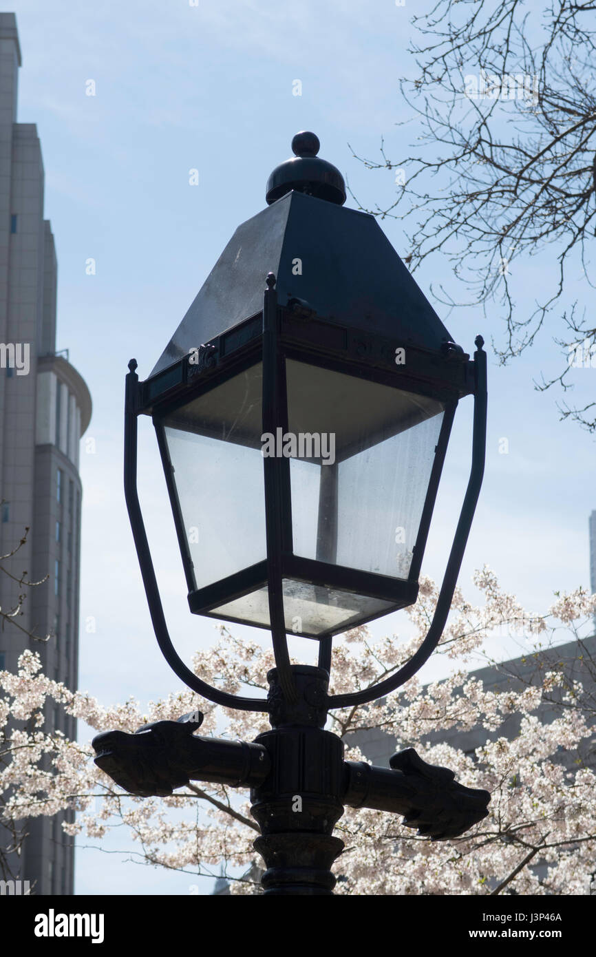 Drachen Kopf dekorative Lampe Post, Columbus Park, Chinatown, NYC Stockfoto