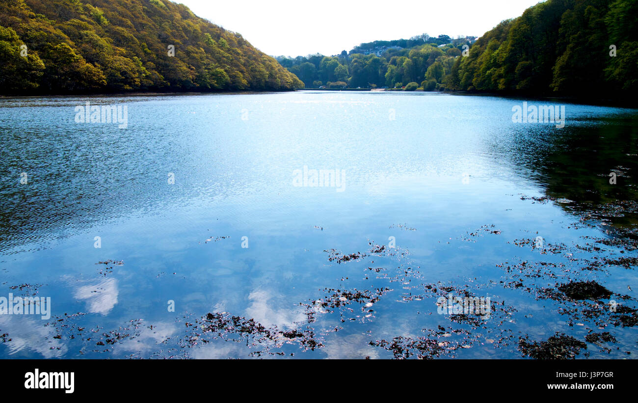 Ansichten von der Riverside, Cornwall, UK Stockfoto