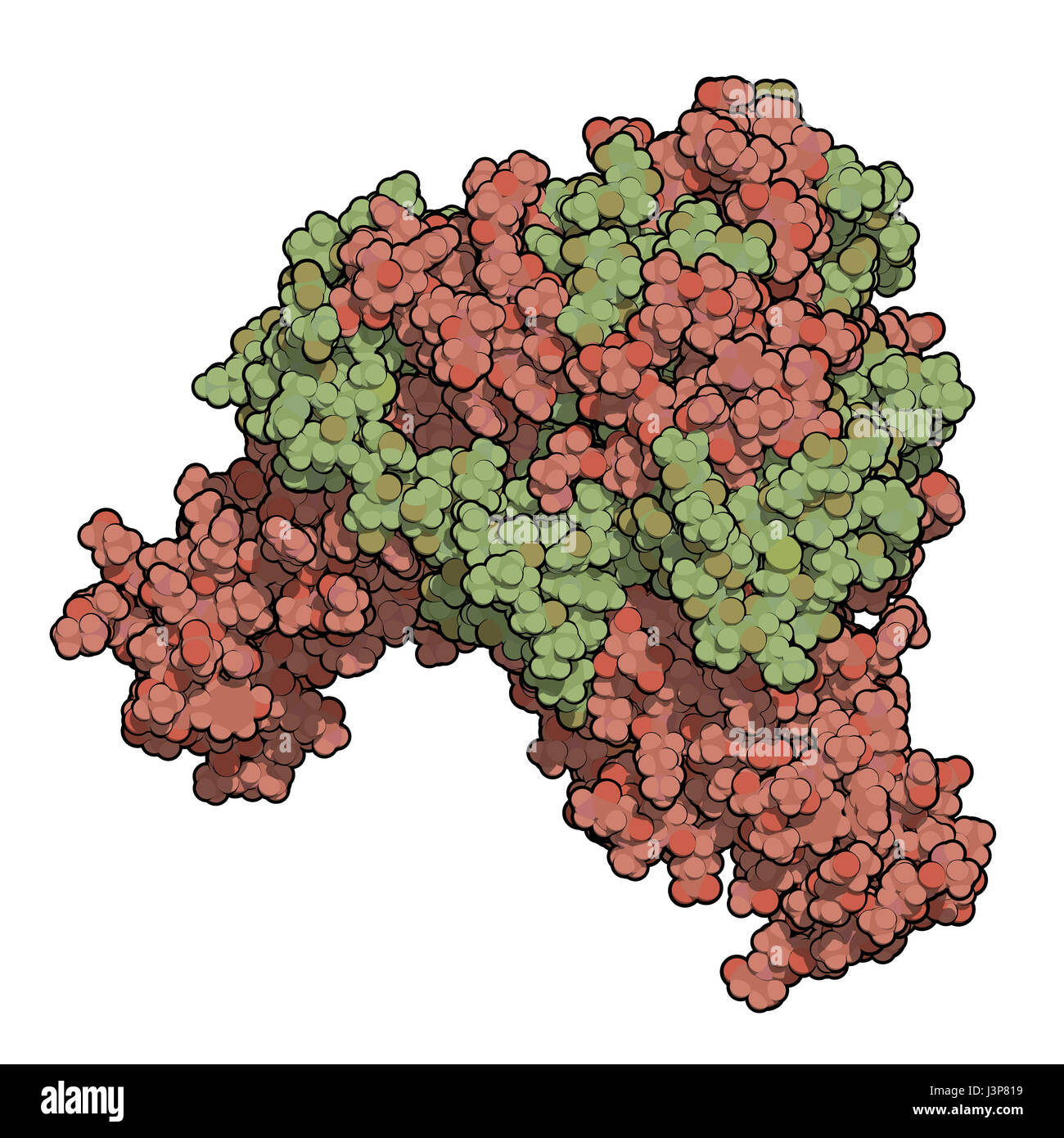 Ebola-Virus Glykoprotein (GP), molekulare Struktur. Tritt als Stacheln auf Ebola-Virus Oberfläche; Ziel für die Impfstoffentwicklung. Atome als Kugeln dargestellt. E Stockfoto