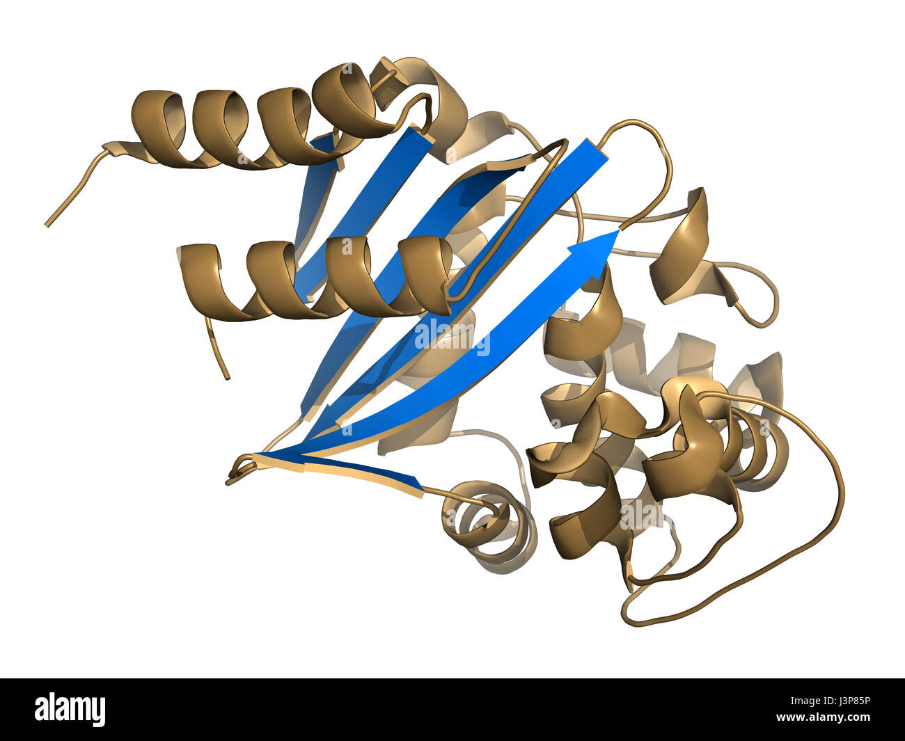 Carbapenemase Carbapenem-Antibiotika-Resistenz-Enzym. Carbapenemase OXA-24 aus dem Bakterium Acinetobacter Baumannii. Cartoon-Modell, sekundäre struc Stockfoto