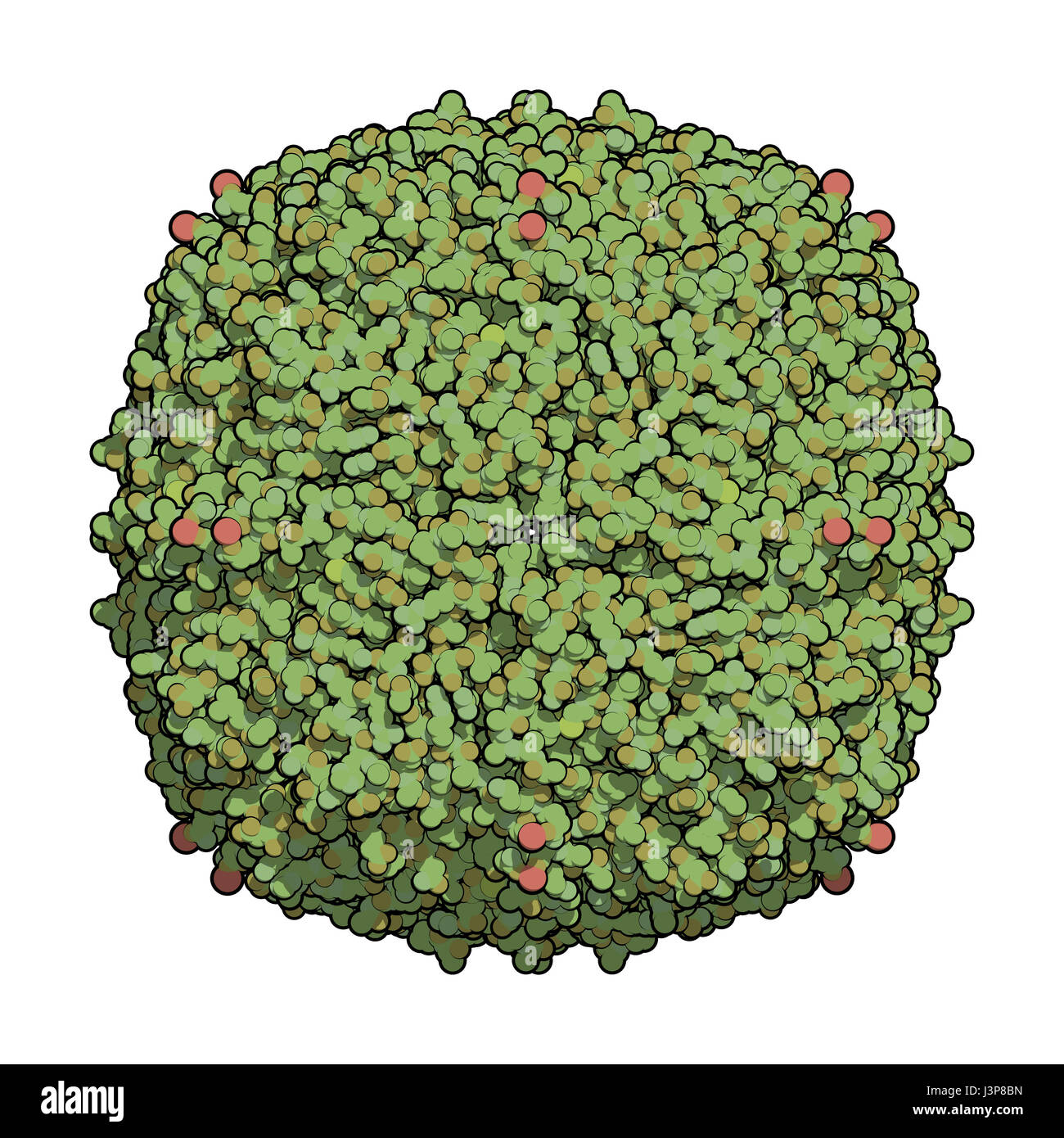 Ferritin test Fotos und Bildmaterial in hoher Auflösung Alamy