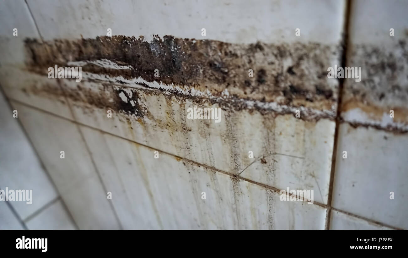Alte Schlamm auf eine alte Fliese mit Scheidungen an der Wand. Stockfoto