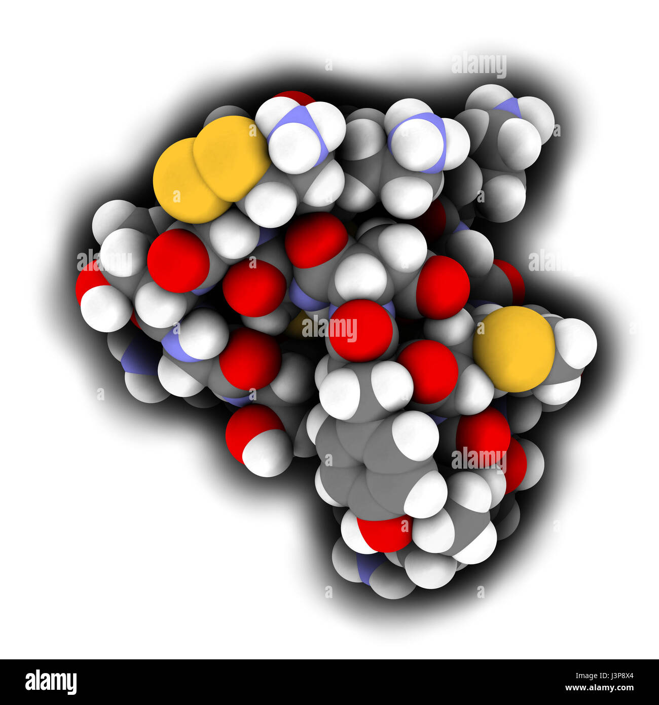 Ziconotid Schmerzen Wirkstoffmolekül. Synthetische Form von Omega vor aus Kegelschnecke. Atome als farbcodierte Kugeln dargestellt. Stockfoto