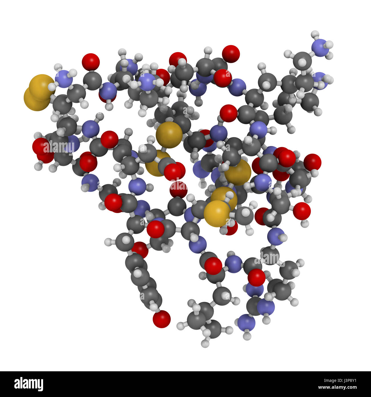 Ziconotid Schmerzen Wirkstoffmolekül. Synthetische Form von Omega vor aus Kegelschnecke. Atome als farbcodierte Kugeln dargestellt. Stockfoto
