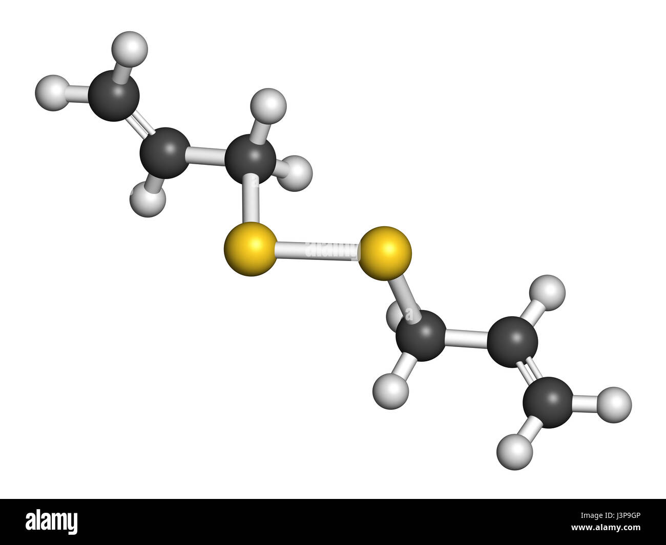 Diallyl-Disulfid-Knoblauch-Molekül. Eine der Verbindungen verantwortlich für Geschmack, Geruch und gesundheitliche Auswirkungen von Knoblauch. Atome sind vertreten, wie wi Sphären Stockfoto