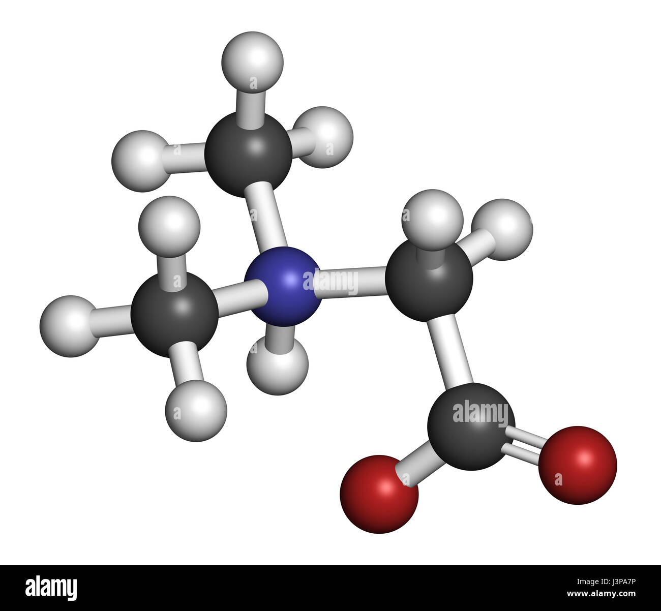 Dimethylglycin (DMG)-Molekül. Methylierte Ableitung von Glycin, in leistungssteigernde Nahrungsergänzungsmittel verwendet. Atome sind als Sphe dargestellt. Stockfoto