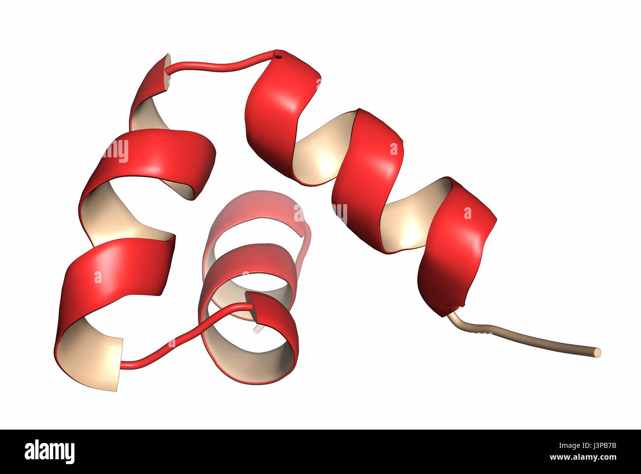 Osteocalcin Knochenaufbau Hormon (Schweinen). Comic-Darstellung. Sekundärstruktur Färbung. Stockfoto