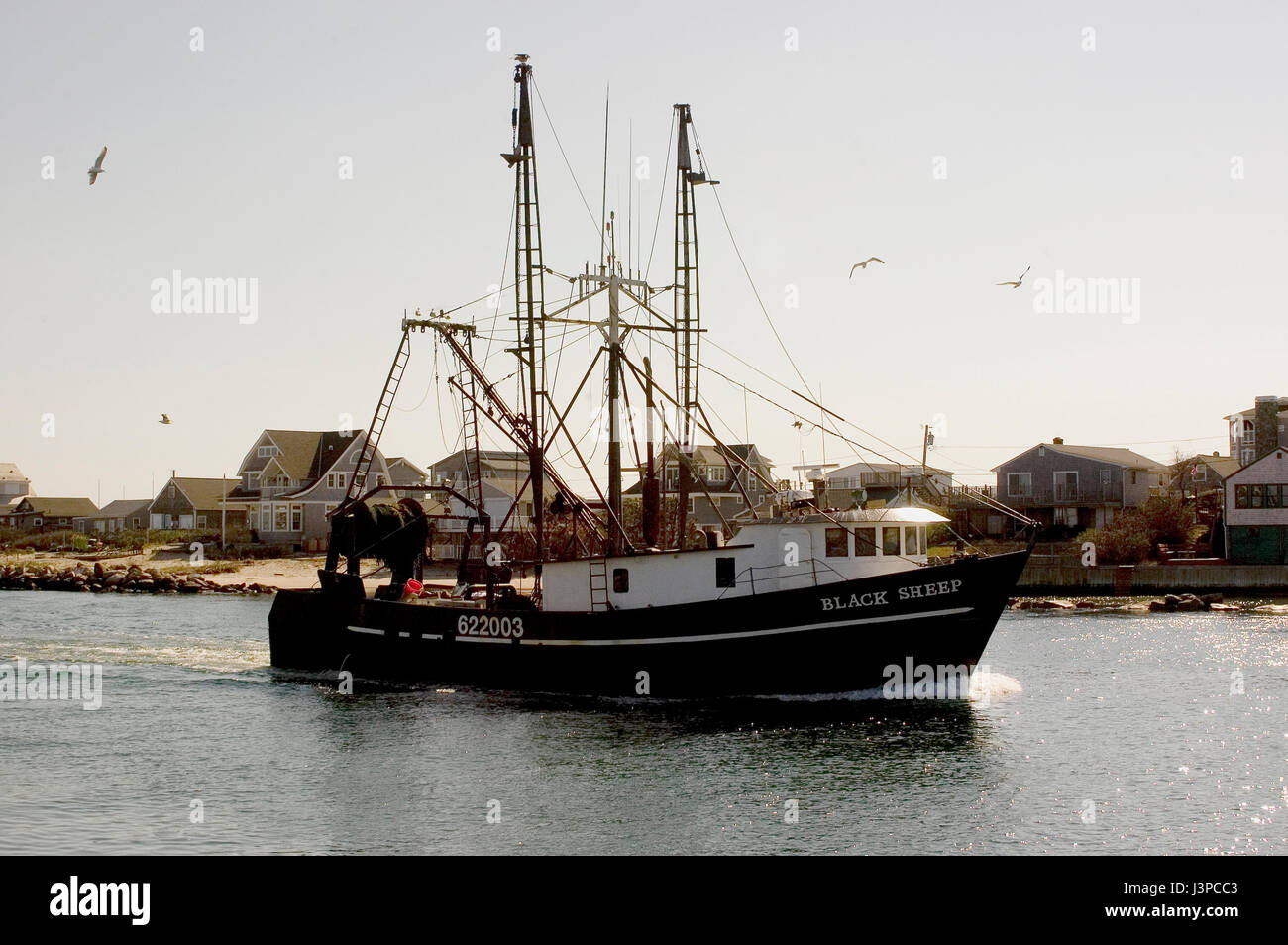 Ein Fischerboot (schwarze Schafe) kehrt zurück nach Galiläa, Rhode Island, USA Stockfoto