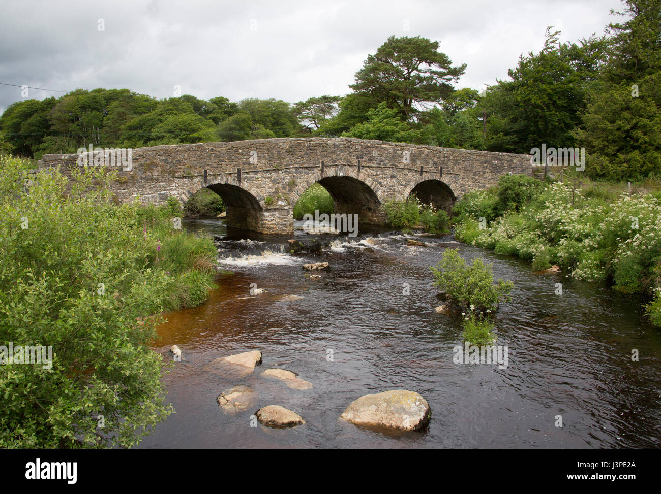 Buckelwale Straßenbrücke über den Fluss Dart, Postbridge, Dartmoor Nationalpark, Devon, UK Stockfoto