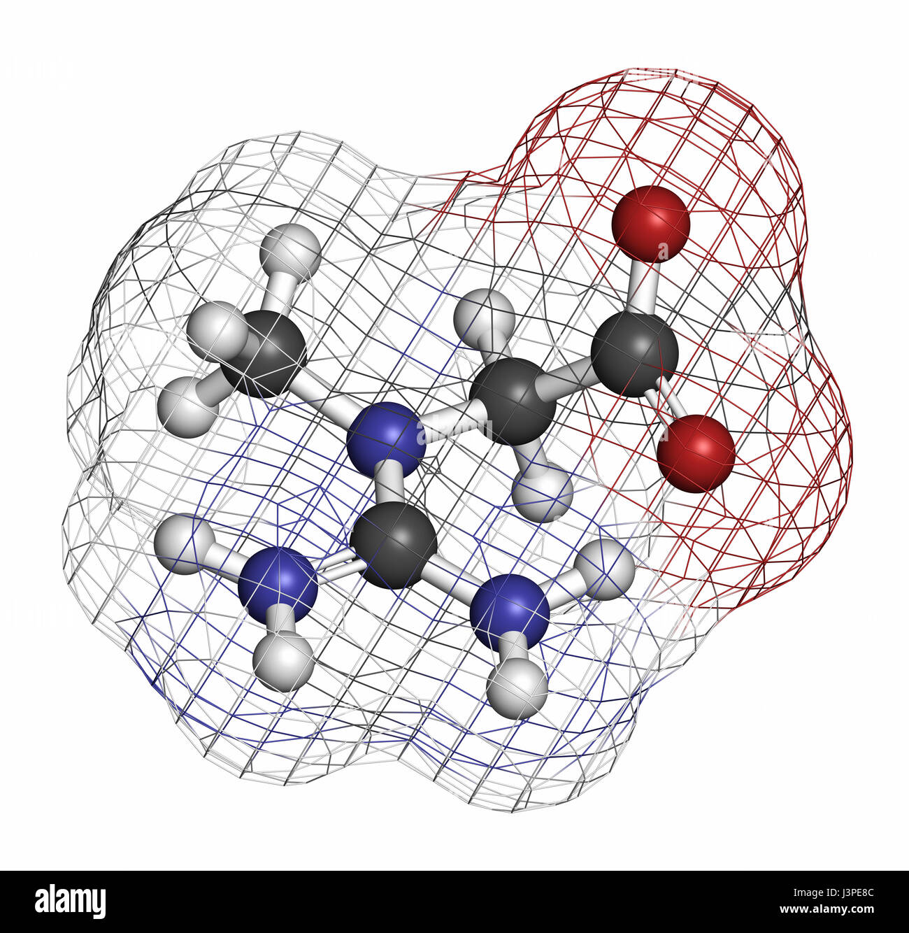 Kreatin-Molekül. Häufig verwendet in Nahrungsergänzungsmitteln. Atome sind als Kugeln mit konventionellen Farbcodierung vertreten: Wasserstoff (weiß), Kohlenstoff (grau), o Stockfoto