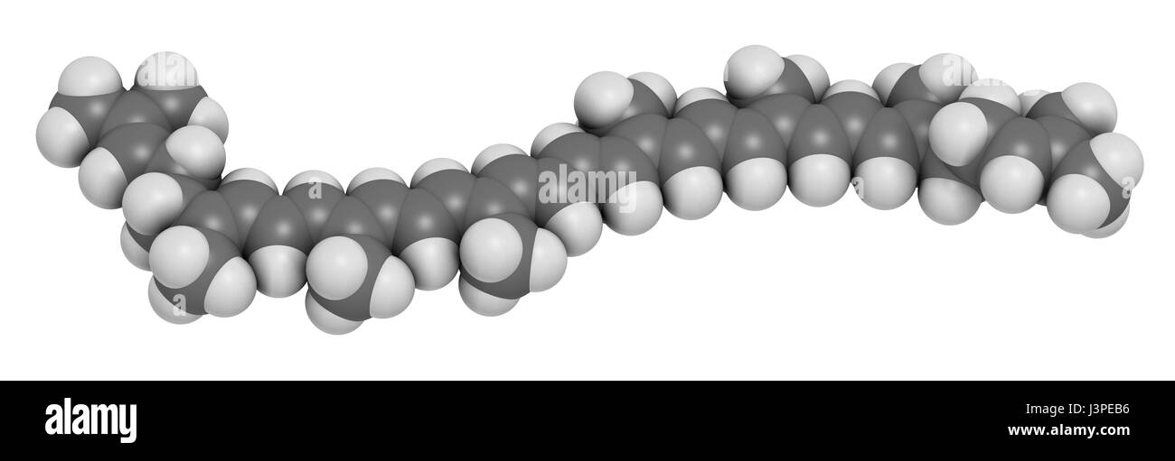 Lycopin-rote Tomate-Pigment-Molekül. Atome sind als Kugeln mit konventionellen Farbcodierung vertreten: Wasserstoff (weiß), Kohlenstoff (grau). Stockfoto