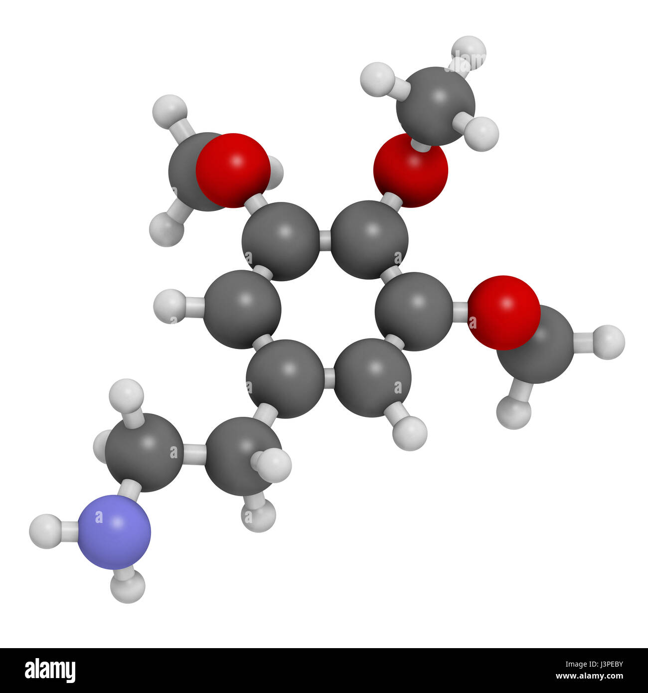 Meskalin Peyote Kaktus psychedelischen Molekül. Atome sind als Kugeln mit konventionellen Farbcodierung vertreten: Wasserstoff (weiß), Kohlenstoff (grau), Sauerstoff Stockfoto