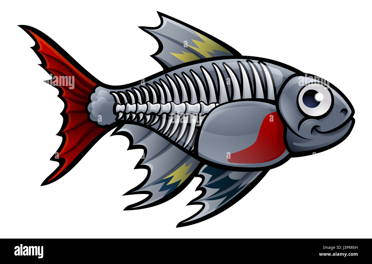 Ein X-Ray Tetra Fisch Tier Comic-Figur Stockfoto