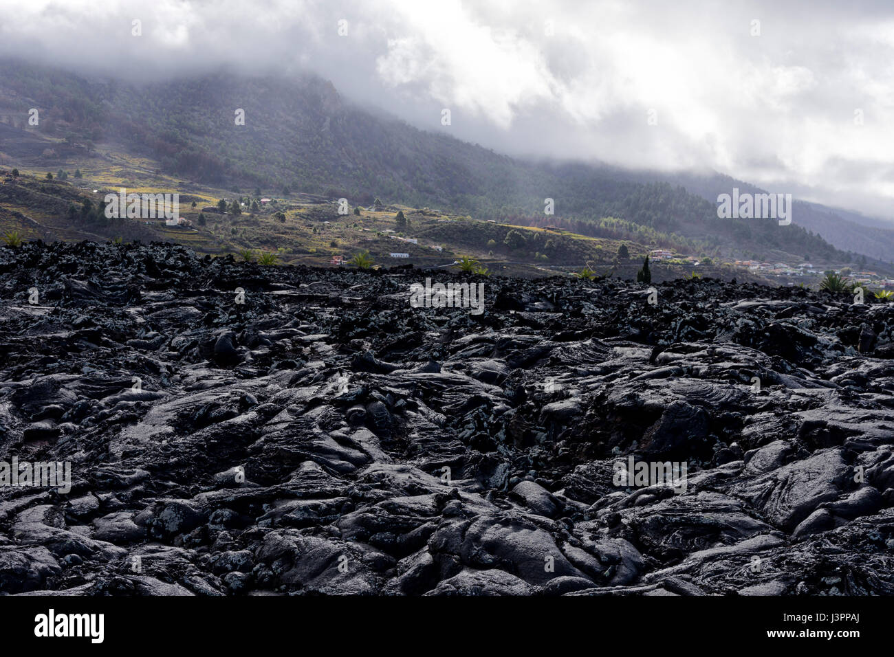 Lava Feld, Las Manchas, La Palma, Spanien Stockfotografie - Alamy