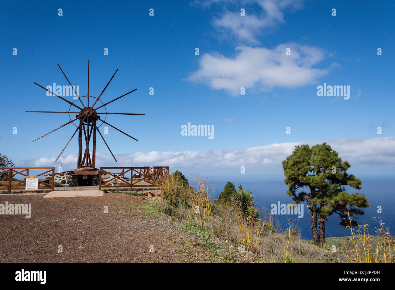 Gofiomill, Las Tricias, Puntagorda, La Palma, Spanien Stockfoto