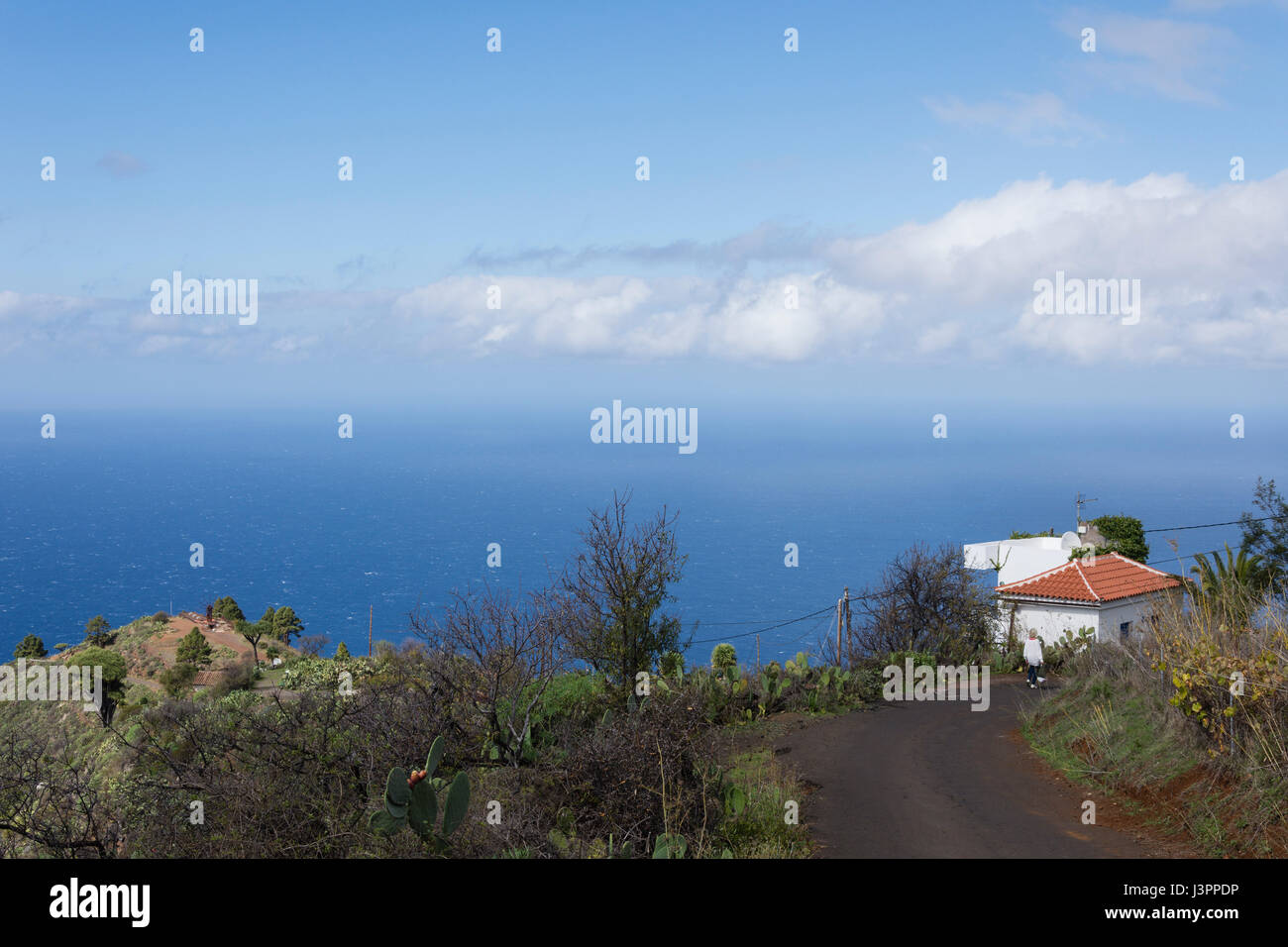 Küste von Las Tricias, Puntagorda, La Palma, Spanien Stockfoto
