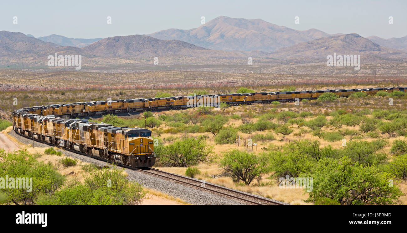 Benson, Arizona - Hunderte von ungenutzten Union Pacific-Lokomotiven sind auf einer Eisenbahn in der Sonora Wüste Abstellgleis geparkt. Stockfoto