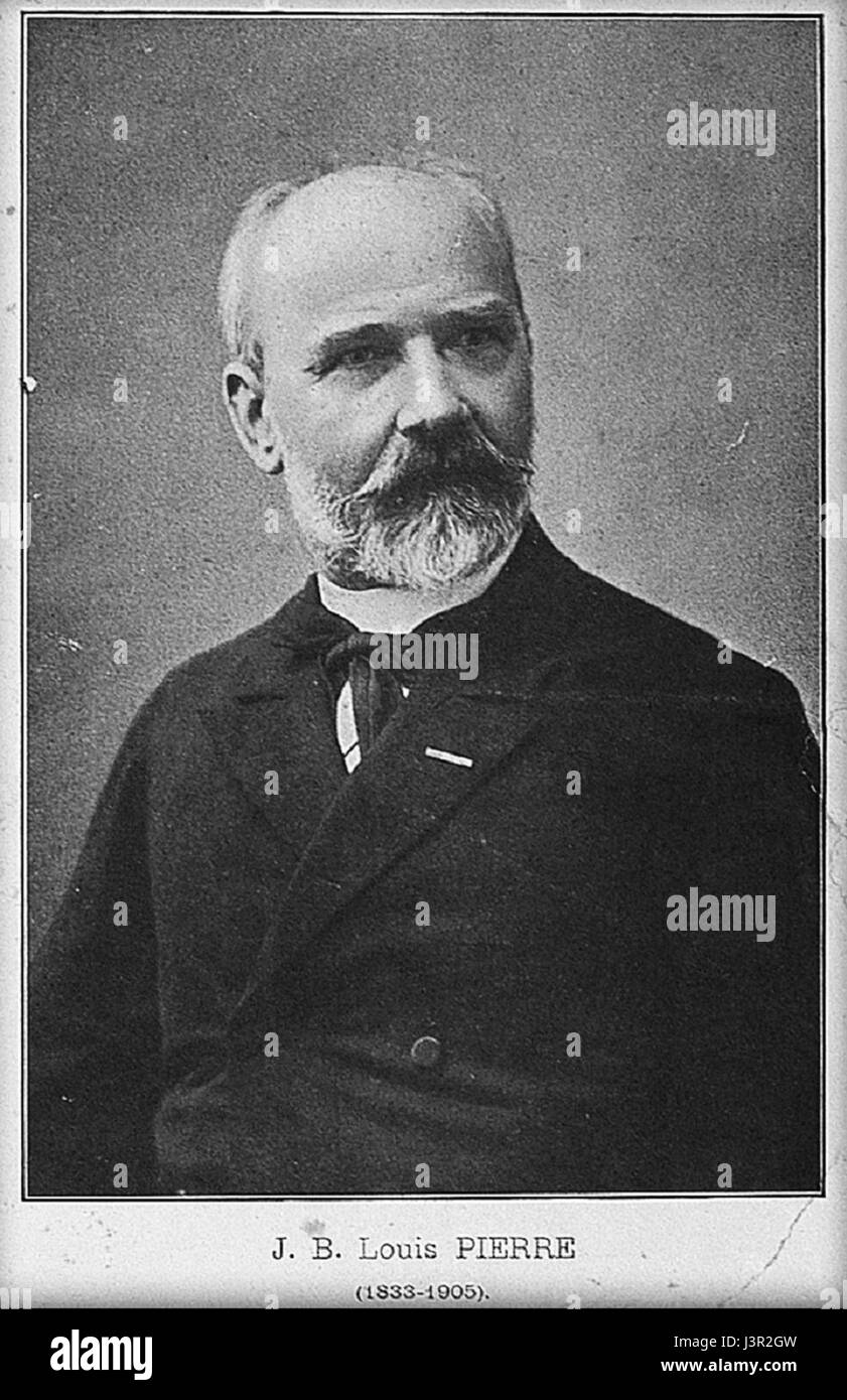 Jean Baptiste Louis Pierre war ein französischer Botaniker und Entdecker, bekannt für seine bedeutenden Beiträge zur Erforschung von Pflanzenarten in Asien. Seine Arbeit in der Botanik hat einen nachhaltigen Einfluss auf das Gebiet der Pflanzentaxonomie und -Klassifizierung. Stockfoto